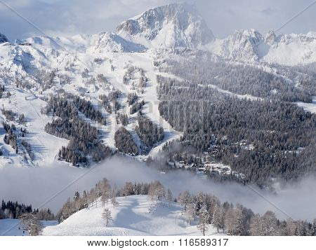 Winter Landscape