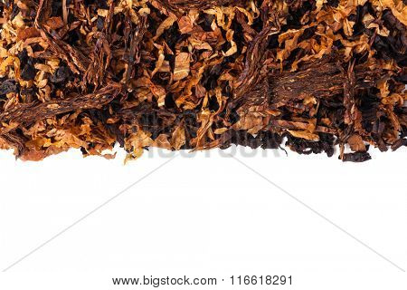 dried smoking tobacco. Isolated on a white background.