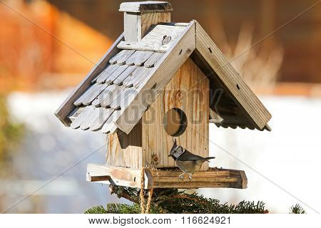 European Crested Tit bird (Lophophanes cristatus) on the wooden bird feeder with hemp seeds in the winter in Austria
