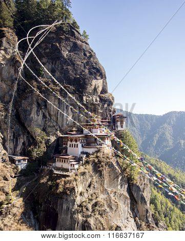 Tiger Nest