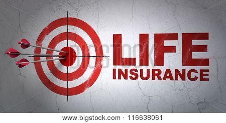 Insurance concept: target and Life Insurance on wall background