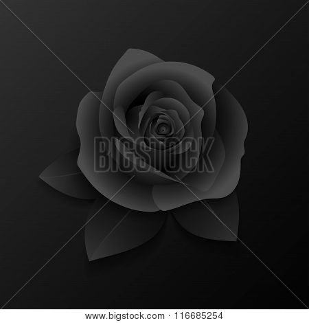 Realistic rose and leaves