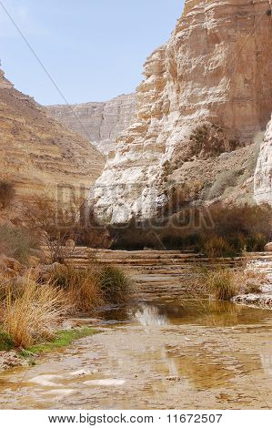 Ein Avdat gorge.