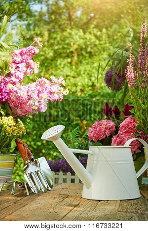 Freshflowers  in wooden box with garden tools on terrace