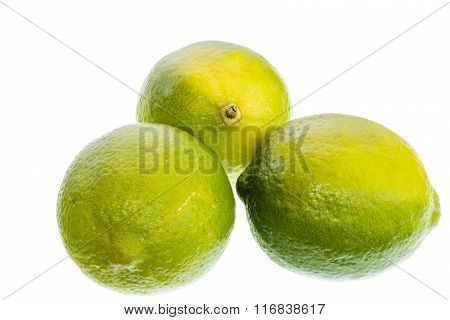 Limes on a white background
