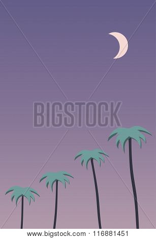 Palm. The night sky and a crescent moon