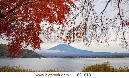 Mt.fuji With Autumn Red Leaves In Kawaguchiko