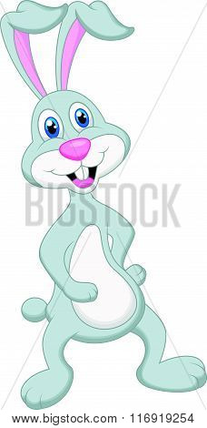 vector illustration of Cute rabbit cartoon isolated on white
