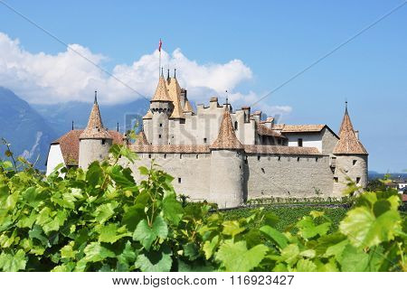 Chateau d'Aigle, Switzerland
