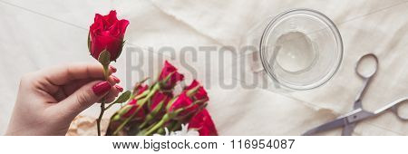 Holding Red Rose