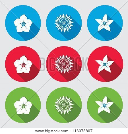 Flower icons set. Petunia chrysanthemum daisy orchid. Floral symbols. Round blue, red and green sign