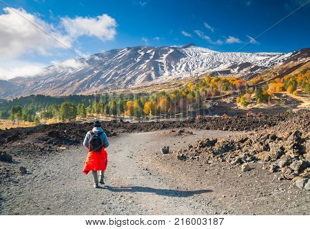 View of northern side of Mount Etna Sicily with a pine and beech wood and a hiker on a lavic path