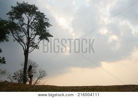 Asian Thai Women Travelers Stand Alone Under Tree For Looking Sunset At Viewpoint On Top Of Mountain