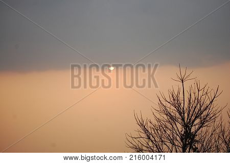 Dead Dry Tree Stand On Top Of Mountain Doi Samer Dao And Pha Hua Sing In Sri Nan National Park