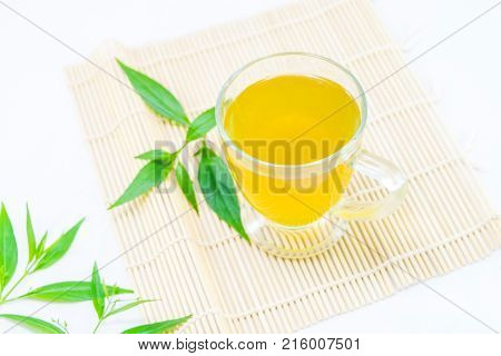 Thailand herbs,Andrographis paniculata plant on white background