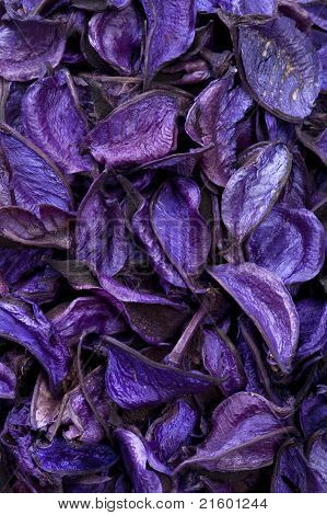 Fond de plantes aromatiques sèches