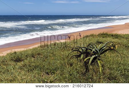 Coastal Landscape In Umdloti Beach In Durban South Africa