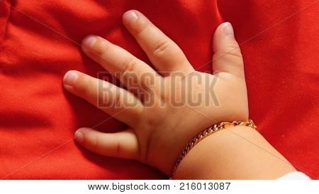 A little baby hand and baby fingers.
