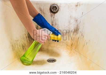 Hands in blue rubber worker hand gloves hold sponge and spray with detergent clean bath tub covered in fungus, dirt and mold. Female hands in gloves clean dirty old bathtub with corrosion and mould with detersive