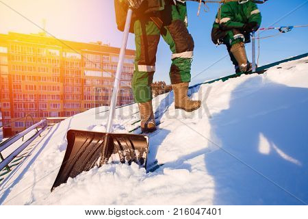 Team of male workers clean roof of building from snow with shovels in securing belts of mantra.