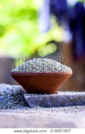 Raw Organic Pennisetum Glaucum,