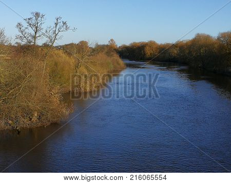 River Ouse lined by vegetation with autumn foliage against a blue sky near York, England