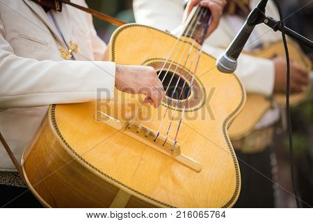 Mariachi Playing Guitarron
