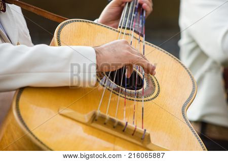 Mariachi Playing Guitarron
