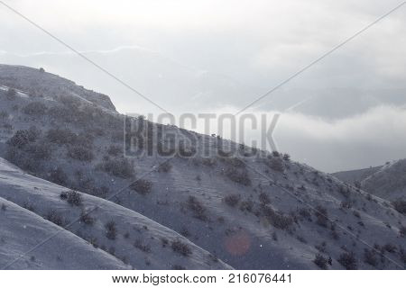 snowy slopes of the Tien Shan Mountains .