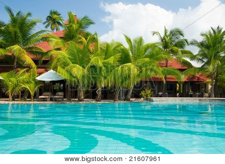 Swimming Pool With Palm Trees