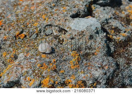 Landscape background- ruins of ancient buildings and facilities. Antiquity destroyed by time and the adverse environment- aged architecture