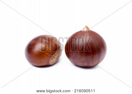 Tasty ripe chestnuts isolated on a white background