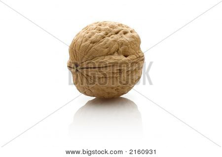 Noce