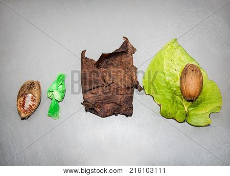 Paan is being prepared using tender green betel leaf, tobacco, baking soda and areca nut is very popular in many countries of Asia 