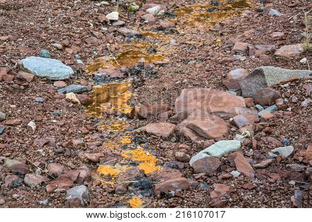 Liquid gold - stream disappearing at the canyon bottom - Ruby Wash in Red Mountain Open Space, northern Coloradog
