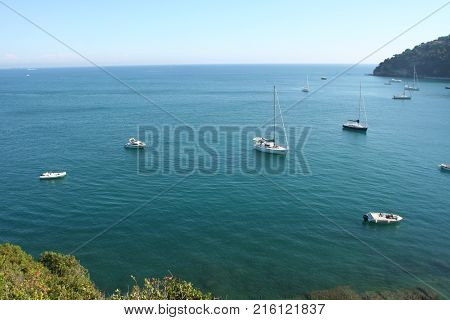Yachts moored in a bay of the Palmaria island