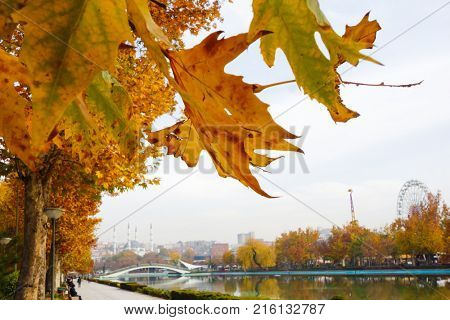 Youth Park (Genclik Parki) in autumn - Ankara, Turkey