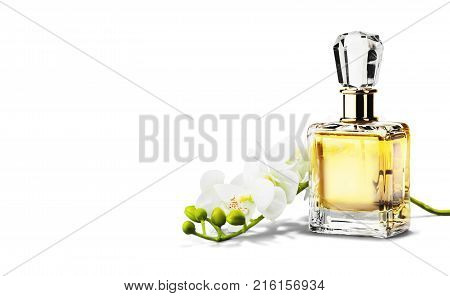 Flowers bottle perfume studio shot white object nobody