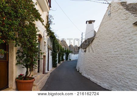 View Of Cittadella, Walled City In Italy