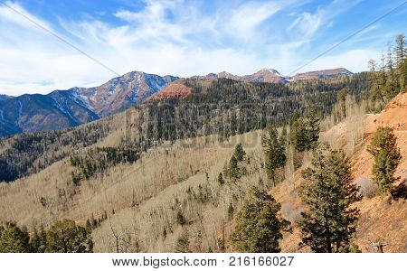 Lime Creak Trail in San Juan National Forrest in CO