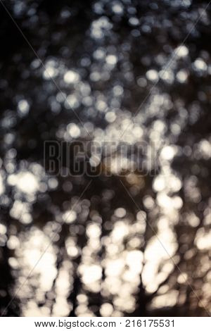 Colorful bokeh background. abstract blurred circles in nature colors. Copyspace for design and text