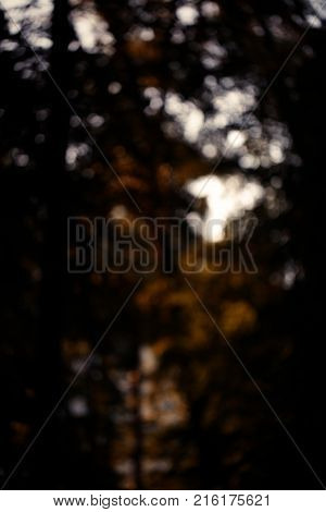 Colorful bokeh background. abstract blurred circles in nature colors. Copyspace for design and text