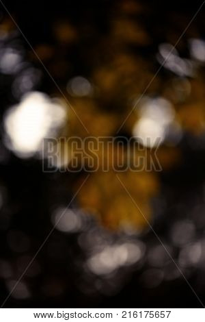 Colorful bokeh background. abstract blurred circles in nature colors. Copyspace for design and text