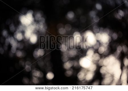 Colorful bokeh background. abstract blurred circles in nature colors. Copyspace for design and text