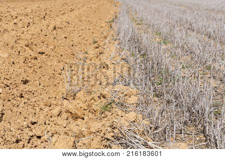 Ploughed and stubble fields in an agricultural landscape in Guadalajara Province, Spain