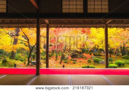 beautiful view of japanese garden in autumn season at Enkoji temple in Kyoto Japan soft focus