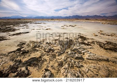 Low tide in the Nabq national park. Mountains on the horizon at sunset.