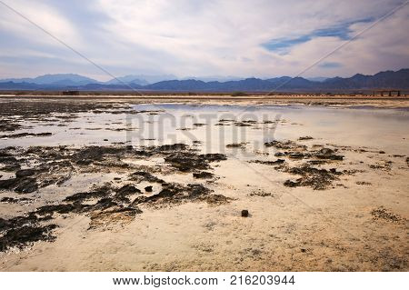 Low tide in the Nabq national park. Mountains on the horizon at sunset.