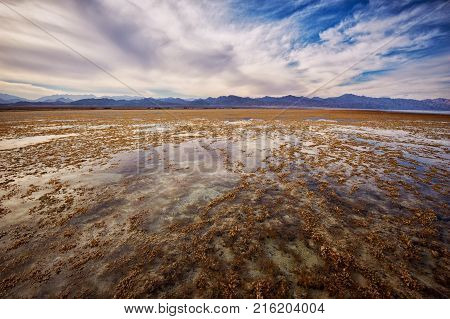 Low tide in the Nabq national park. Mountains on the horizon at sunset.
