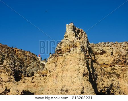 Coast at the Algarve at Lagos Portuga